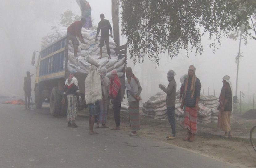 প্রচণ্ড ঠাণ্ডায় কাহিল ঠাকুরগাঁওয়ের মানুষ