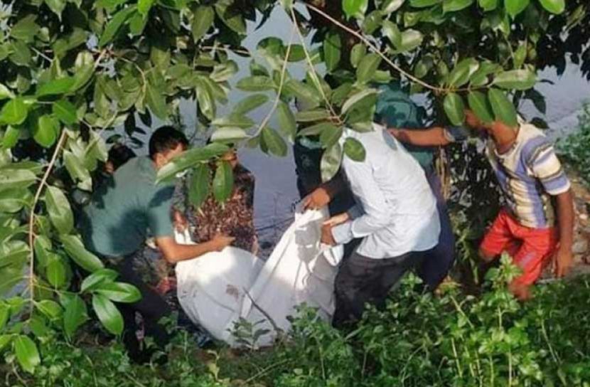 ফাইল ছবি