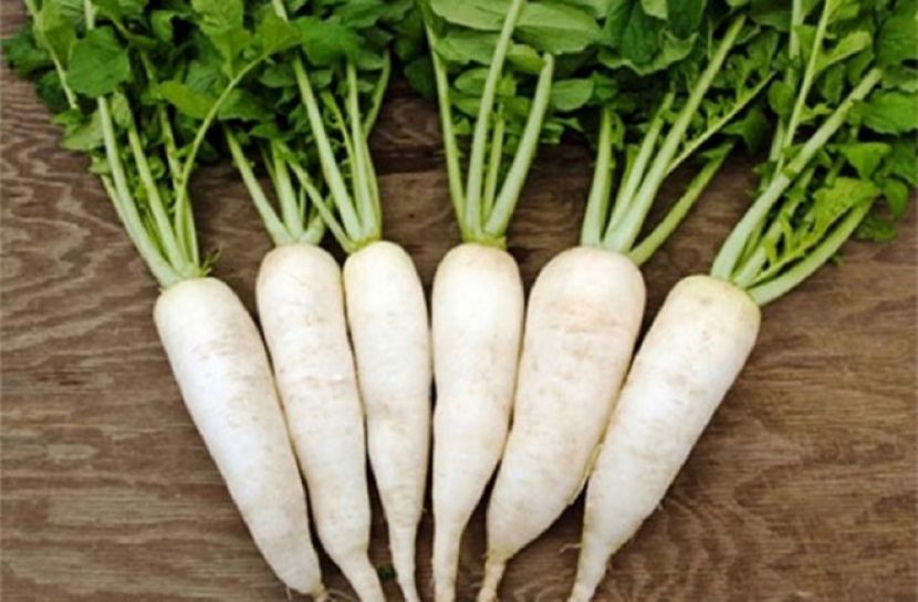 মুলার দাম কম হলেও গুণ অনেক