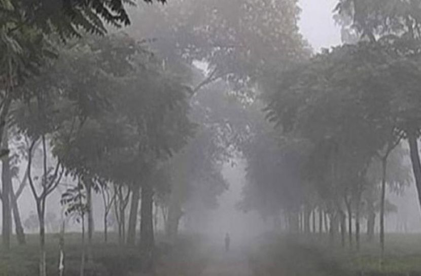 দেশের সর্বনিম্ন তাপমাত্রা শ্রীমঙ্গলে