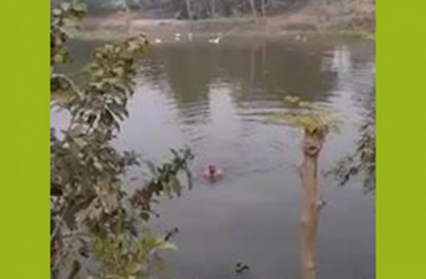 পুকুরে ডুব দিয়ে নির্বাচনে অংশ  না নেওয়ার প্রতিজ্ঞা