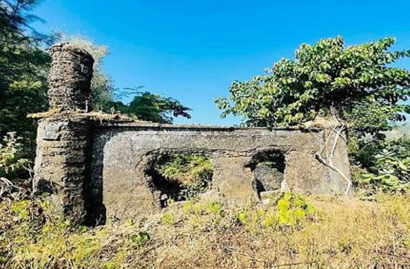 টেকনাফের জঙ্গলে প্রাচীন মসজিদের সন্ধান