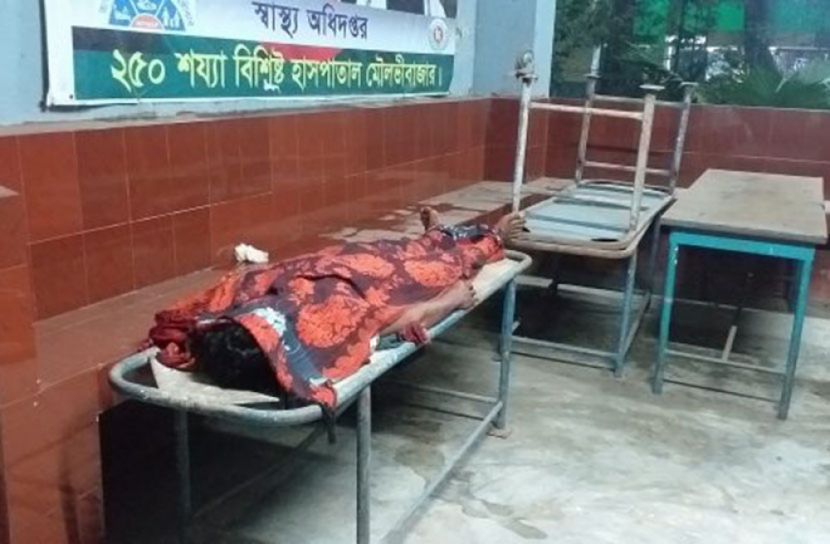 শ্রীমঙ্গলে ছোট ভাইয়ের হাতে বড় ভাই খুন