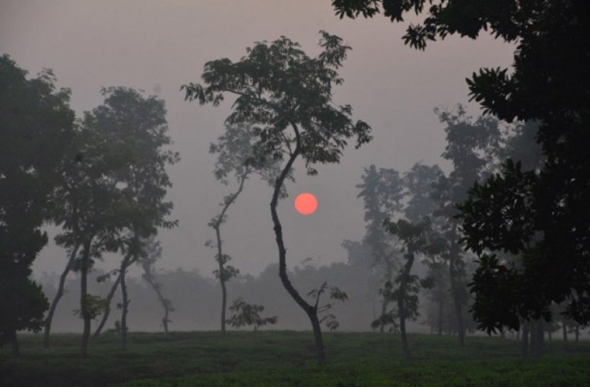 শ্রীমঙ্গলে সর্বনিম্ন তাপমাত্রা ৮.১ ডিগ্রি