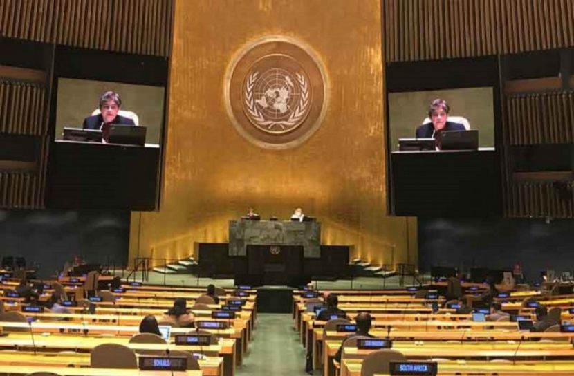 ‘রোহিঙ্গা সমস্যার সমাধান না হলে অস্থিতিশীলতা দেখা দেবে’