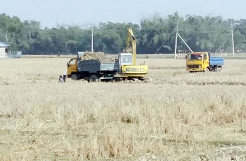 মৌলভীবাজারে ইটভাটায় যাচ্ছে কৃষি জমির উর্বর মাটি