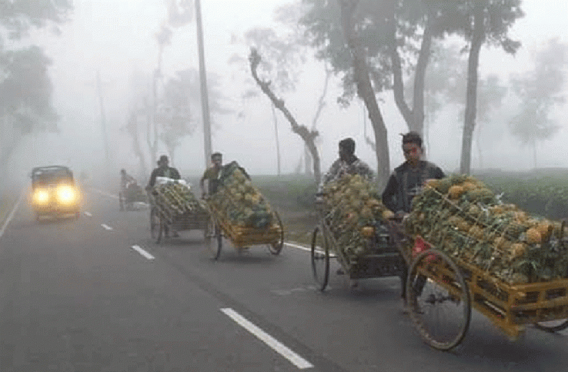 শ্রীমঙ্গলে তীব্র শৈত্যপ্রবাহ, বাড়ছে ঠাণ্ডাজনিত রোগ