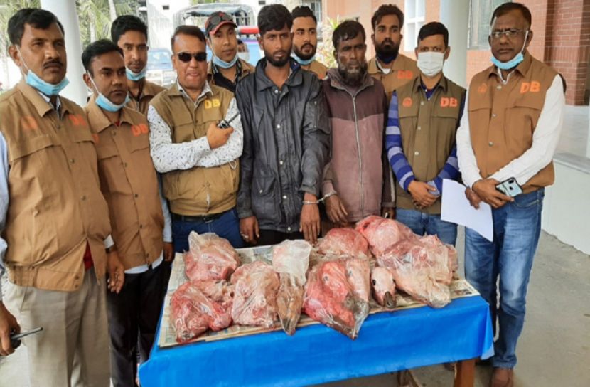 ৪২ কেজি হরিণের মাংসসহ বাবা-ছেলে গ্রেফতার