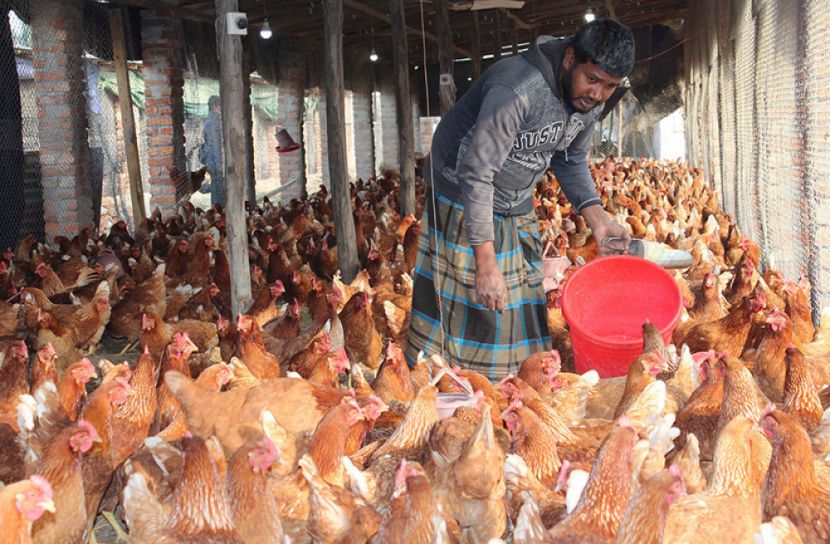 অবহেলিত আদিবাসীপল্লীতে গড়ে উঠেছে কৃষি খামার