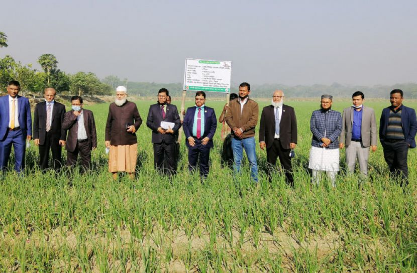 ‌'তিন বছর পর দেশে পেঁয়াজ সংকট থাকবে না'