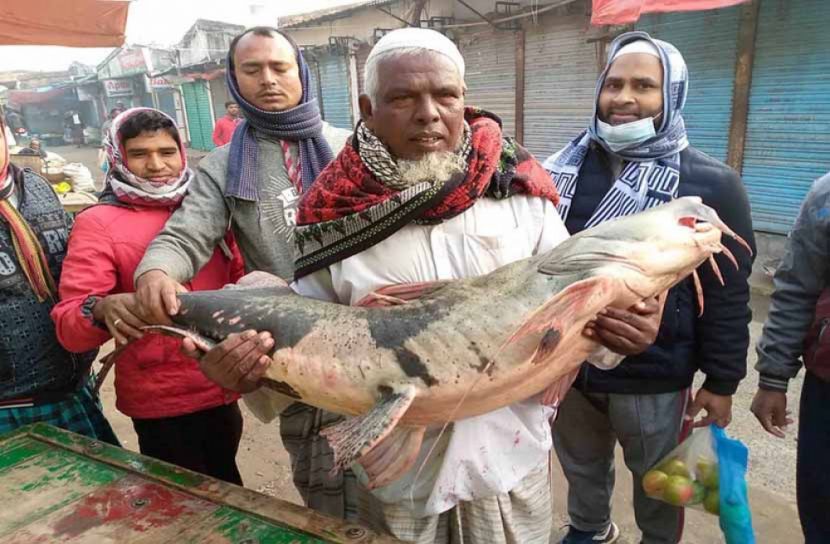 এক বাগাড়ের দাম ৩২ হাজার টাকা!