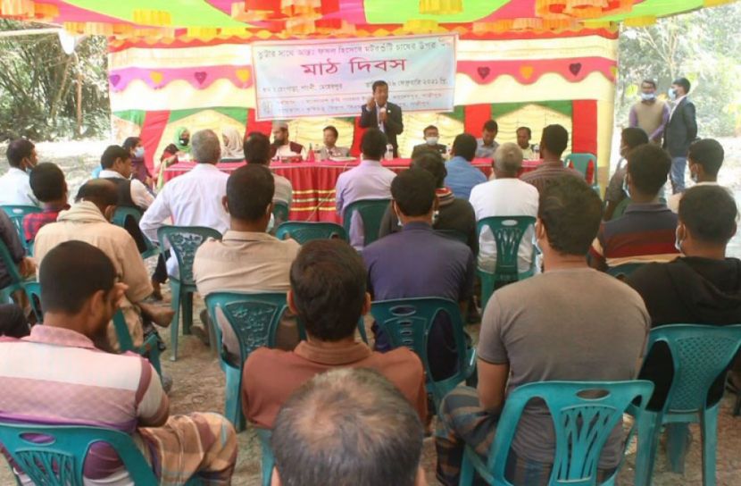 মেহেরপুরে ভুট্টা, মটরশুটি চাষের নতুন প্রযুক্তির মাঠ দিবস 