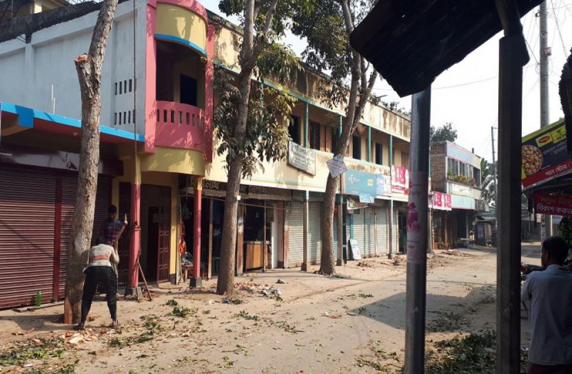 সাবেক চেয়ারম্যানের বিরুদ্ধে রাস্তার গাছ বিক্রির অভিযোগ