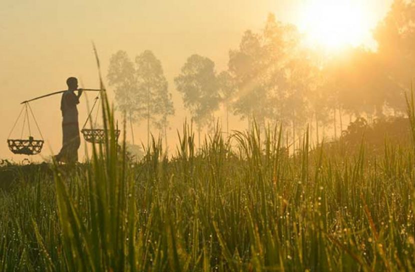 বিদায়ের অপেক্ষায় শীত