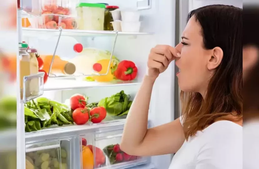 ফ্রিজে যেসব খাবার কখনো রাখবেন না