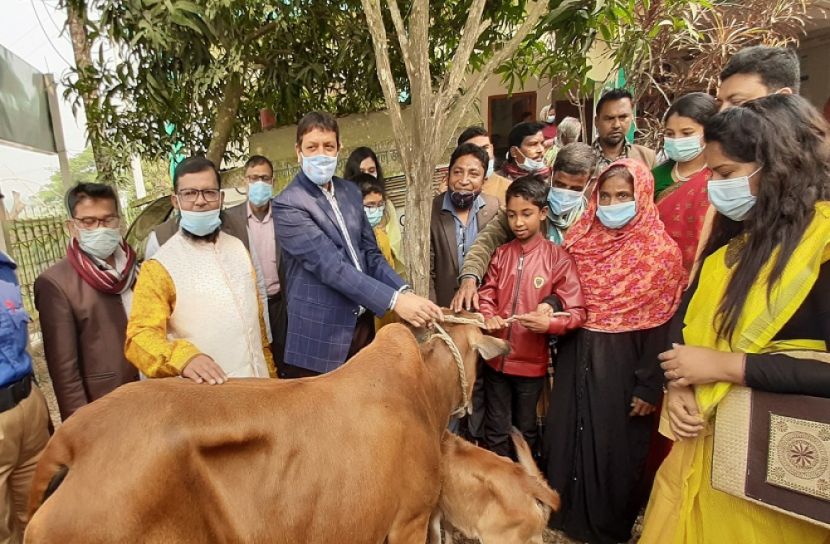 শ্রীপুরে সম্বলহীন কৃষক পেলেন শাবকসহ গাভী