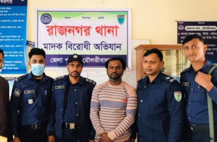 রাজনগরে ইয়াবাসহ মাদক ব্যবসায়ী আটক