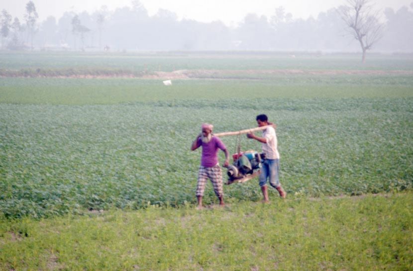 আলু ওঠার আগেই দুশ্চিন্তায় রংপুরের কৃষকরা