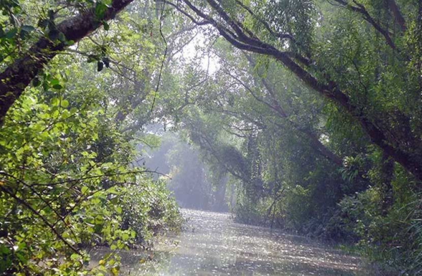 নতুন রূপে ভোলার চর কুকরি-মুকরি