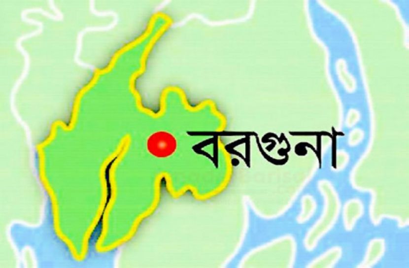 বরগুনায় ট্রলারসহ মাছ লুট