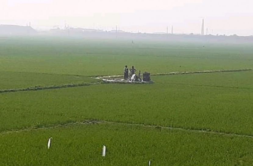 সরাইলে ইরি-বোরো ধান রোপণ মহোৎসবে ব্যস্ত কৃষকরা 