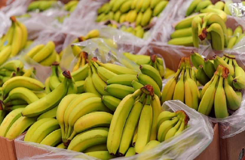 কলার ভেতরে ২ হাজার কোটি টাকার কোকেন!