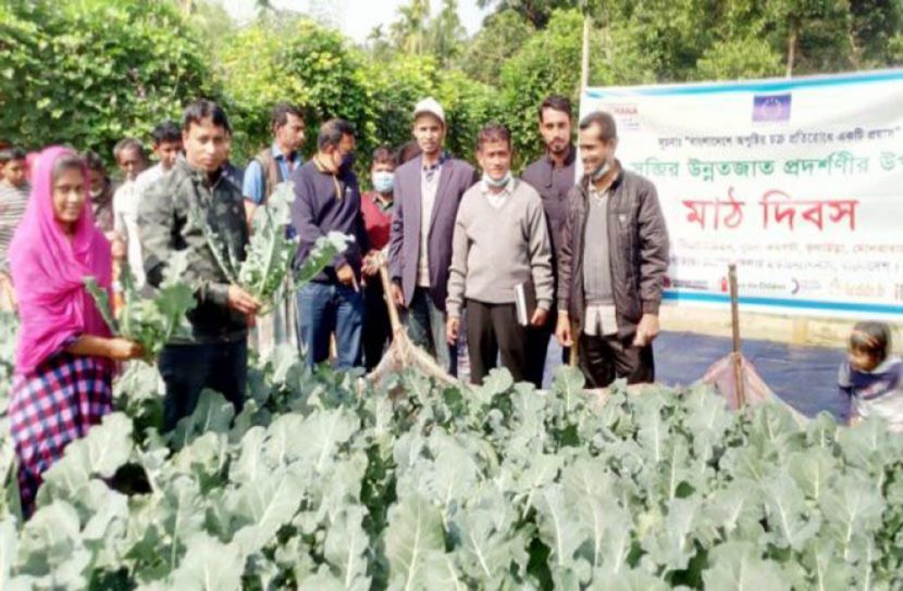 ব্রকলি চাষে সফল ইয়াছমিন