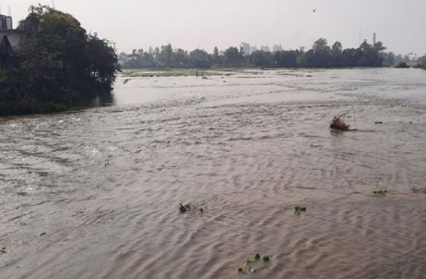 বাঁধ ভাঙন: পানিতে তলিয়ে গেছে ধানি জমি