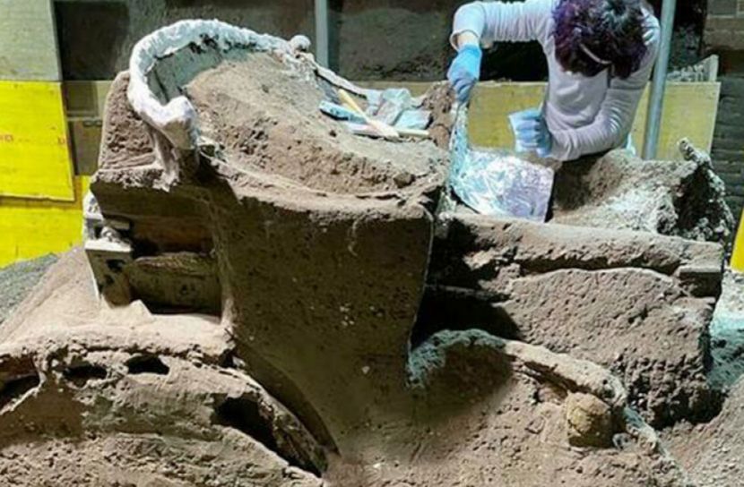 পম্পেই নগরীতে ঘোড়ার গাড়ি আবিষ্কার