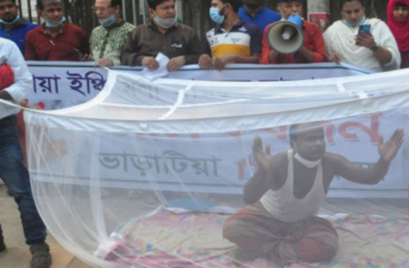 মশার যন্ত্রণা সইতে না পেরে প্রতিবাদ 