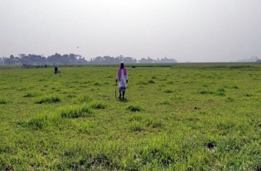 প্রভাবশালীদের দাপট :  নিজ জমিতে ধান চাষ করতে পারেনি বৃদ্ধ কৃষক