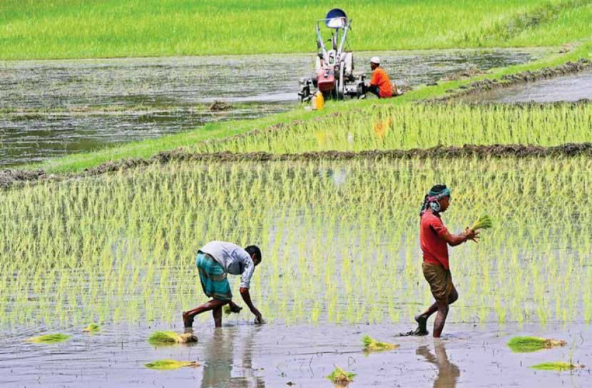 কৃষি ঋণ বিতরণের সময় বাড়লো তিন মাস