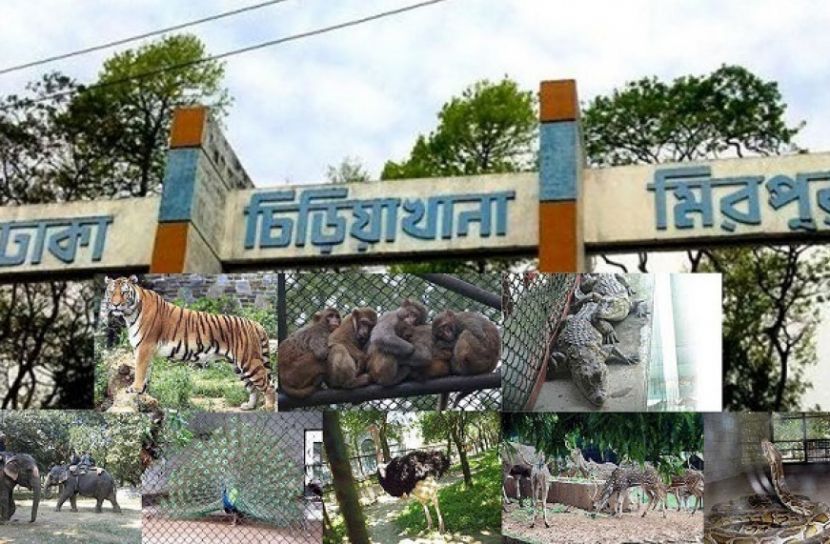 আবারও বন্ধ হলো চিড়িয়াখানা