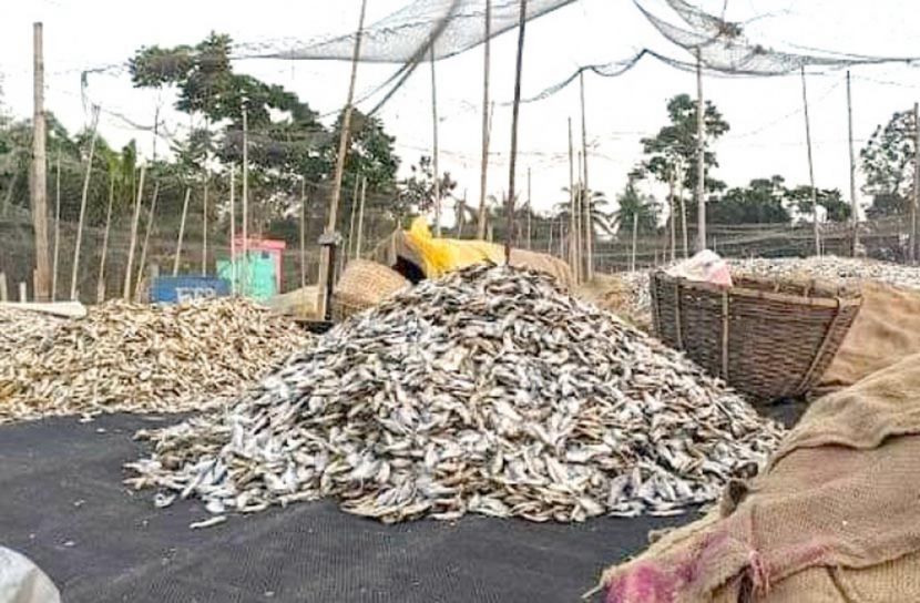 আবারও শঙ্কায় লালপুর শুঁটকিপল্লীর ব্যবসায়ীরা