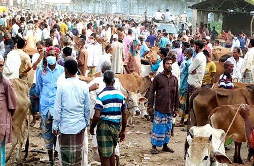 লকডাউনেও পশুর হাট, উপেক্ষিত স্বাস্থ্যবিধি