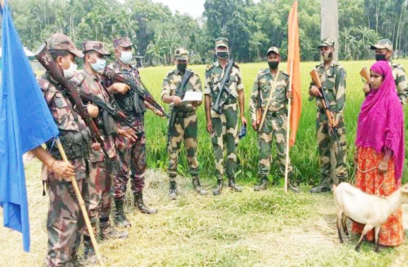 ছাগল খুঁজতে ভারতীয় নারী বাংলাদেশে 