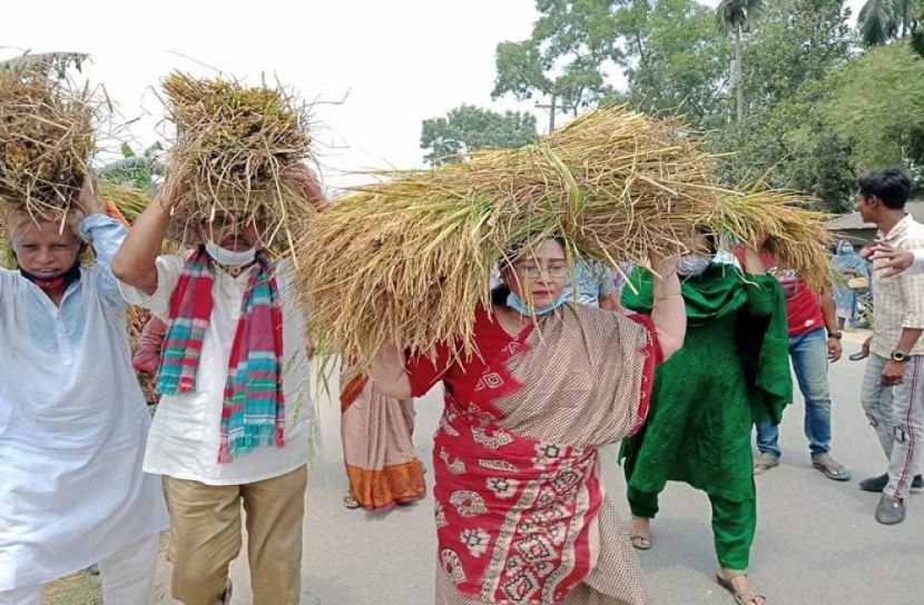 মাথায় ধান নিয়ে কৃষকের বাড়ি পৌঁছে দিলেন হোসনে আরা এমপি