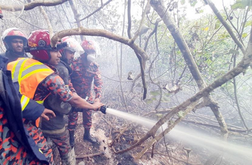 নিয়ন্ত্রণে সুন্দরবনের আগুন