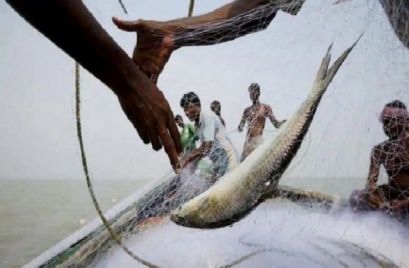 শেষ হয়েছে মাছ ধরার নিষেধাজ্ঞা