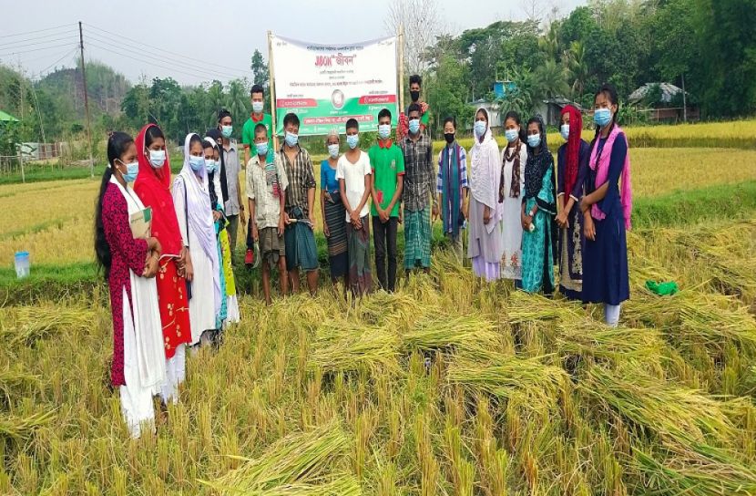 কৃষকের ধান কেটে দিল স্বেচ্ছাসেবী সংগঠন ‘জীবন’