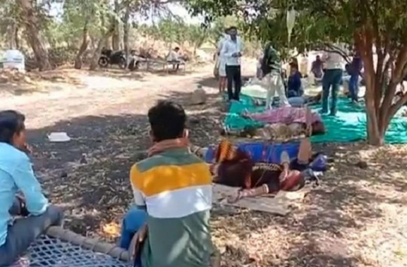 মাটিতে শুয়ে করোনা রোগী, গাছের ডালে স্যালাইনের বোতল!