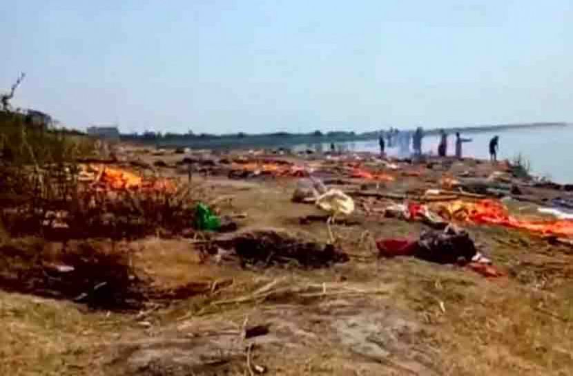 পানিতে ভাসছে সারি সারি লাশ, ছিঁড়ে খাচ্ছে কুকুর