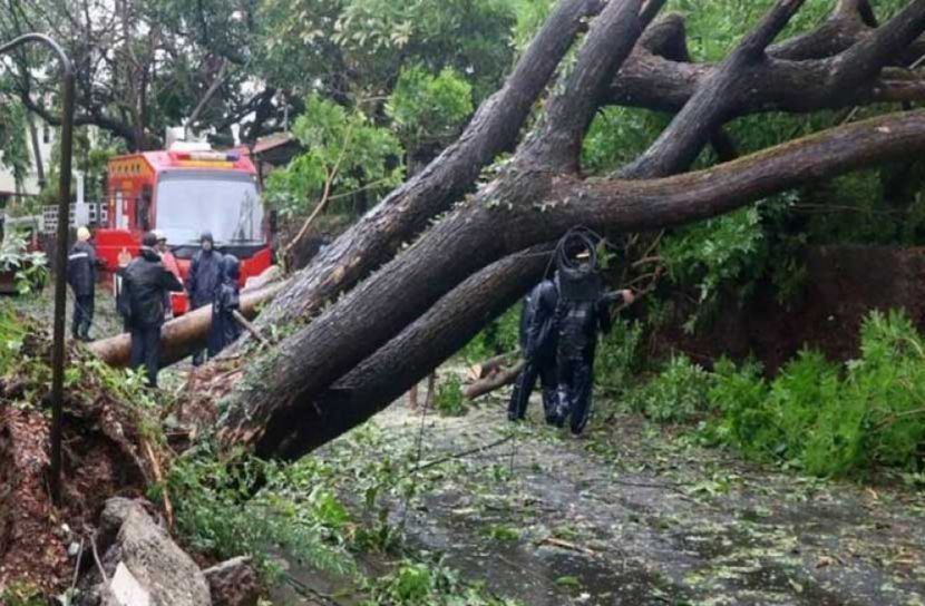 মহারাষ্ট্রে তাওকতের তাণ্ডব, ৬ জনের মৃত্যু
