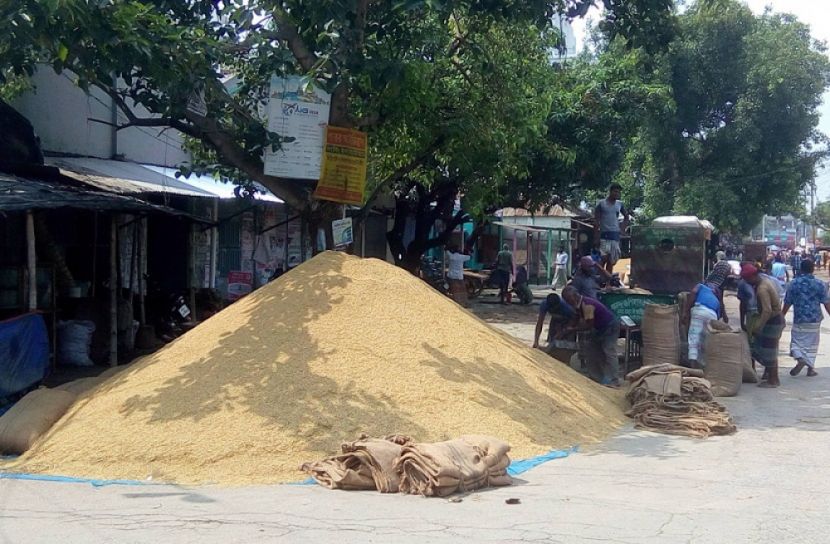 ৪১ কেজিতে মণ