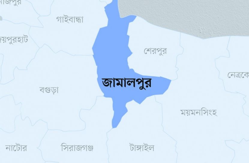 কাঠ বোঝাই ট্রলি উল্টে চালকের মৃত্যু
