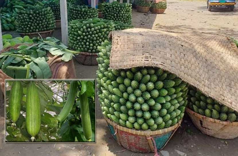 মুন্সিগঞ্জের সবজি মধ্য প্রাচ্যে