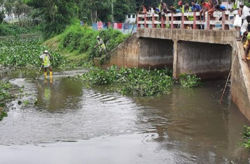 জলাবদ্ধতা নিরসনে কচুরিপানা পরিষ্কার 