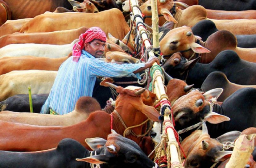 ফাইল ফটো
