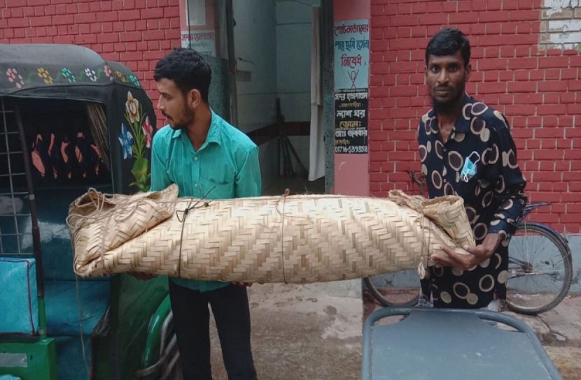 বিদ্যুৎস্পৃষ্ট হয়ে  শিশুর মৃত্যু