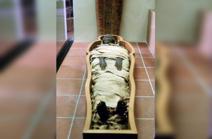 ফারাওদের মমিতেও ব্যবহার হতো